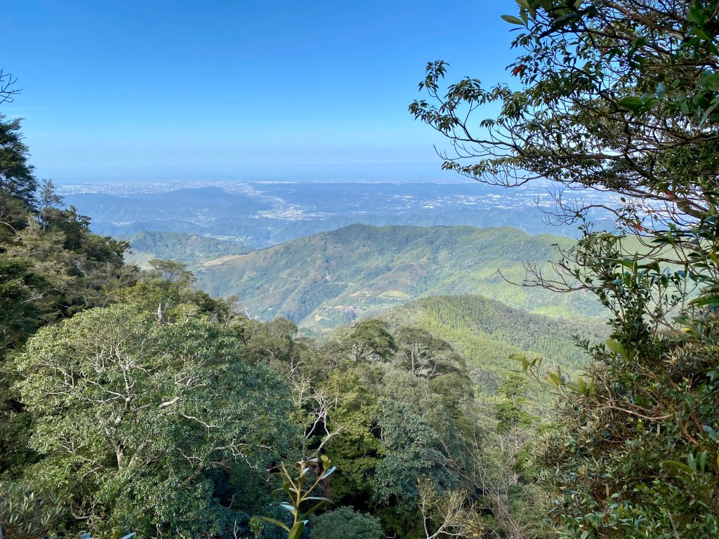 北得拉曼：走入茂密的飛鼠神木世界